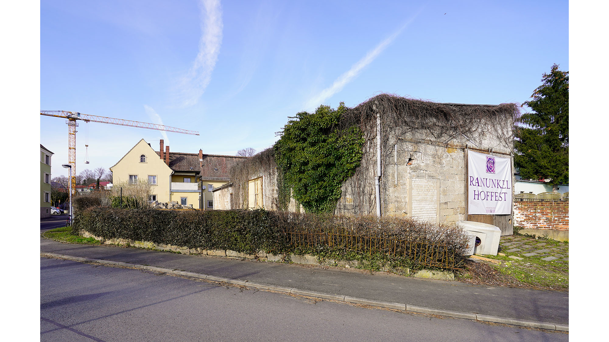 Seidel_Architekten_Ranunkelhof_2